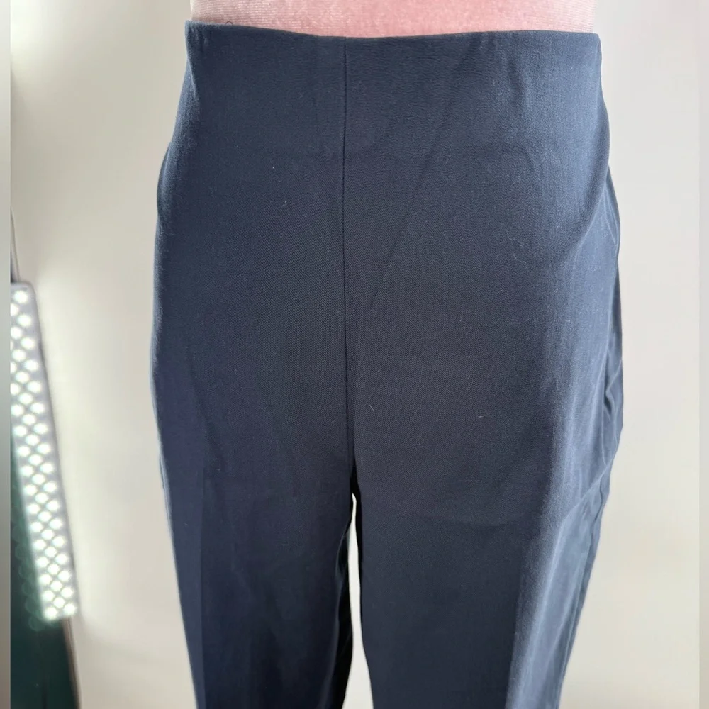 NWT Everlane Curvy Side Zip Work Pant - Picture 8 of 13